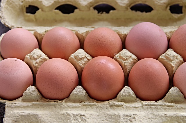 Read more about the article Warum gibt es Eier in den USA nur in der Kühltheke?