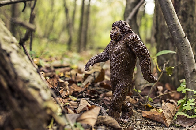 Der Bigfoot - Reiner Mythos oder versteckt lebender Hominid?