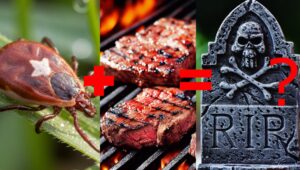 Read more about the article Tod durch Hamburger – Mann stirbt an Fleischallergie